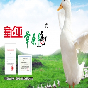 冷链：塞飞亚农业科技发展股份有限公司